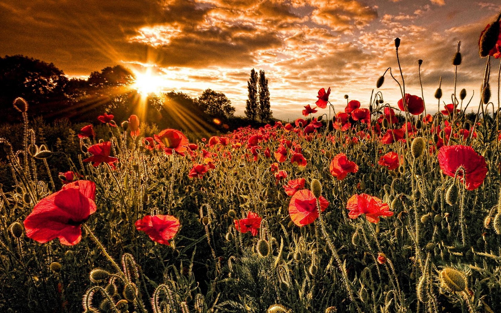 Paysage de la Somme — Gîte Lycot